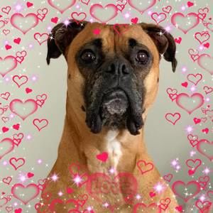 Meet your Posher, Vivian